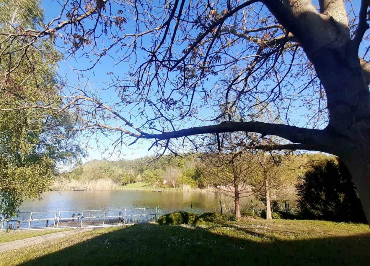 Szemermetes Erzsok Nyaralohaz Villa Gyomaendrőd Dış mekan fotoğraf