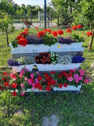 Szemermetes Erzsok Nyaralohaz Villa Gyomaendrőd Dış mekan fotoğraf